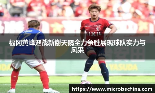 福冈黄蜂迎战新谢天鹅全力争胜展现球队实力与风采